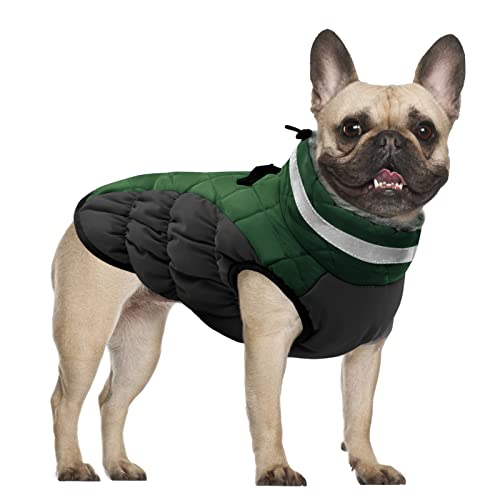 CITÉTOILE Hundemantel Winter,Wintermantel Hund,Hundemantel mit Geschirr, Warme Hundejacke für Kaltes Wetter, Hundemantel Wasserdicht mit Fleece Gefütterte, Winddichtes Reflektierend Winterweste von CITÉTOILE