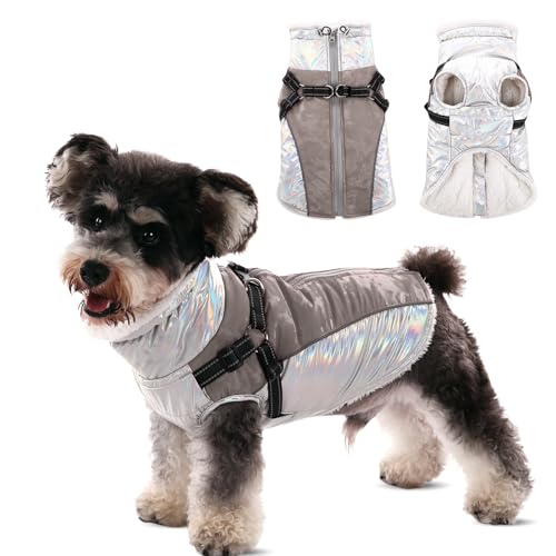 CITÉTOILE Hundemantel Winter,Warmer Hundemantel mit Geschirr, Wasser & Winddichte Reflektierender Wintermantel Hund, Hundejacke mit Reißverschluss und Stehkragen für Grosse Hunde, 2XL von CITÉTOILE