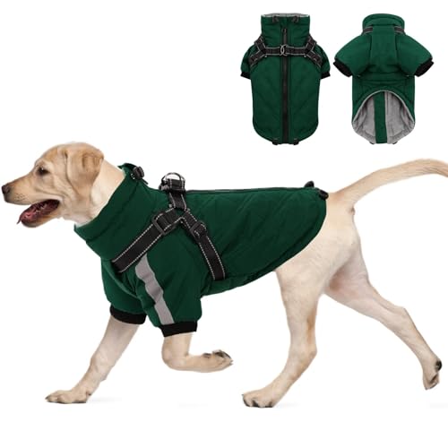 CITÉTOILE Warmer Hundejacke mit Geschirr, Winddichte Hundemantel für Kaltes Wetter, Hundebekleidung mit Reißverschlüssen und Lockeren Bündchen für Hunde, Grün, 2XL von CITÉTOILE