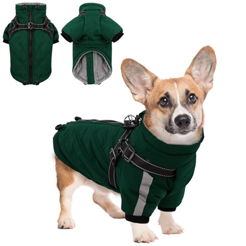 CITÉTOILE Warmer Hundejacke mit Geschirr, Winddichte Hundemantel für Kaltes Wetter, Hundebekleidung mit Reißverschlüssen und Lockeren Bündchen für Hunde, Grün, M von CITÉTOILE