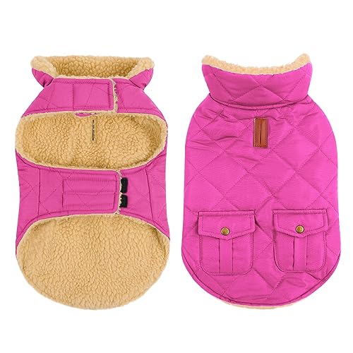 CITÉTOILE Wintermantel Hundemantel, Warme Winterjacken mit Fleece für Hunde,Hundejacke Hundekleidung Hundepullover Dog Coat mit Geschirr Loch für Chihuahua Dackel, Rosa, L von CITÉTOILE