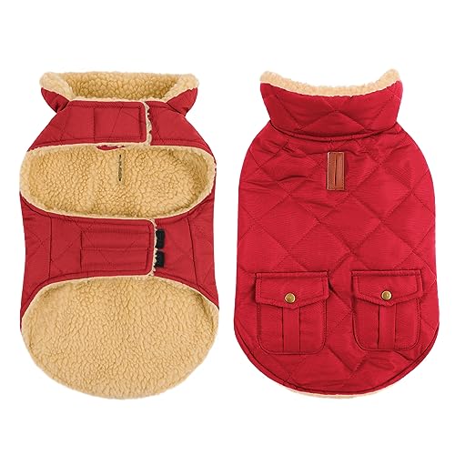 CITÉTOILE Wintermantel Hundemantel, Warme Winterjacken mit Fleece für Hunde,Hundejacke Hundekleidung Hundepullover Dog Coat mit Geschirr Loch für Chihuahua Dackel, Rot, M von CITÉTOILE