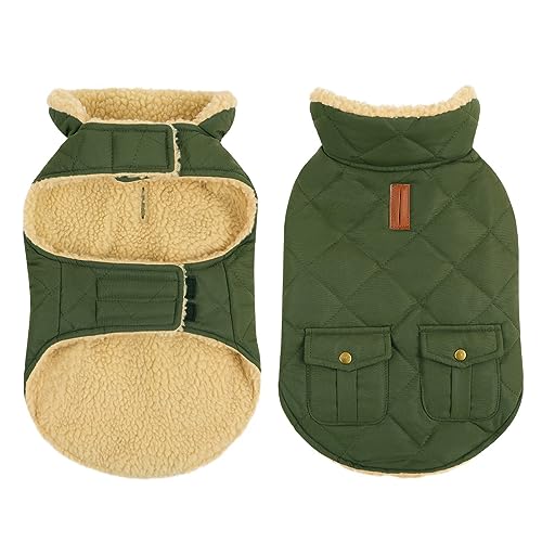 CITÉTOILE Wintermantel Hundemantel, Warme Winterjacken mit Fleece für Hunde,Hundejacke Hundekleidung Hundepullover Dog Coat mit Geschirr Loch für Chihuahua Dackel, Grün, L von CITÉTOILE