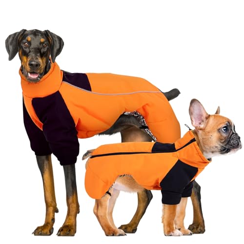 CITÉTOILE Winter Hundemantel, Hunde Wasserdichter Wintermantel, Outdoor Hundejacke mit Reflektierender Streifen, Winterwarme Hundekleidung mit Selbsterwärmender Innenstoff, Orange, XS von CITÉTOILE