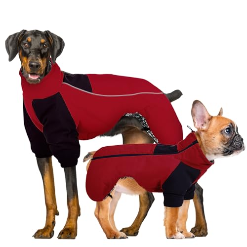 CITÉTOILE Winter Hundemantel, Hunde Wasserdichter Wintermantel, Outdoor Hundejacke mit Reflektierender Streifen, Winterwarme Hundekleidung mit Selbsterwärmender Innenstoff, Rot, M von CITÉTOILE