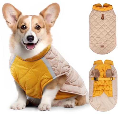 Hundemantel Winter Wasserdicht Hundejacke,CIYIN Hundejacke Wasserdicht,Warme Hundejacke mit Geschirr,Reflektierende Streifen,Welpe Warme Jacke Hundepullover,Hundemantel für Kleine Hunde (M) von CIYIN