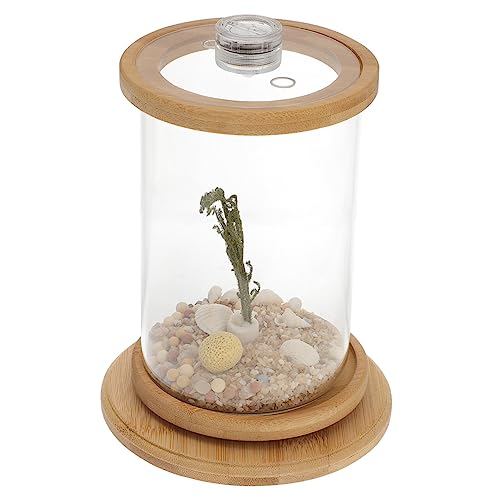 CIYODO 1 Satz Desktop Micro View Aquarium Bürobedarf Dekorative Fischschale Bürodekoration Goldfischglas Desktop-dekor Desktop-versorgung Tischdekoration Künstliche Sukkulente Green von CIYODO