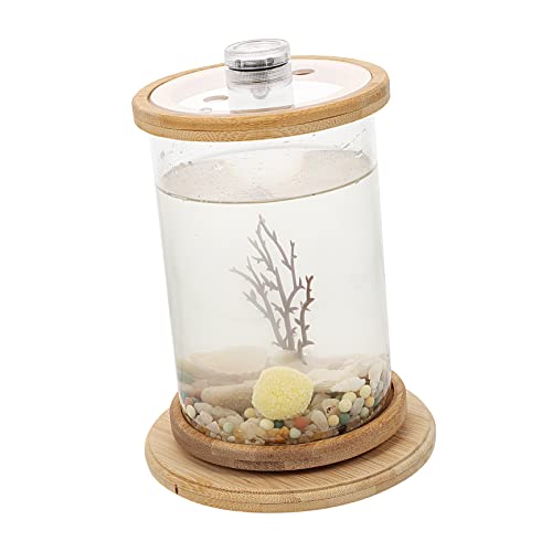 CIYODO 1 Satz Desktop Micro View Aquarium dekorative klare Vase kleines Terrarium bürodekorationen Dekoration Schlafzimmer kunstpflanze dekorative Fischschale dekoratives Fischaquarium von CIYODO