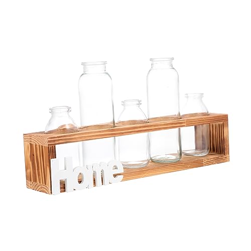 CIYODO 1 Satz hydroponische Glasflasche Blumenzwiebelvasen Pflanzentopf für drinnen bürodekorationen Retro Styles Ornament Heimdekoration hydroponischer Blumentopf blumenladen versorgung von CIYODO