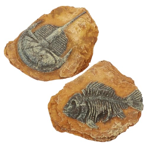 CIYODO 2Er Box Kunstharz Fossil Fossilien Ausgrabungsset Trilobiten Ornament Schlange Reptil Dekor Meerestier Spielzeugfiguren Reptilienversteck Aquarium Landschaftsbau von CIYODO