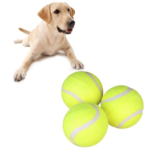 CIYODO 3er Set Hund Tennisball Kauspielzeug Für Hunde Ideal Für Training Und Spiel Langlebige Und Sichere Materialien Perfekte Größe Für Kleine Und Große Hunde von CIYODO