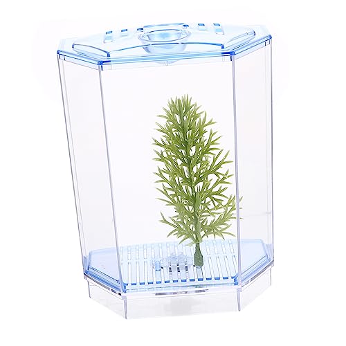 CIYODO Aquarium Fisch Züchter Box Mini Fisch Aquarium Home Office Desktop Dekoration Fische Tank Wasserpflanze Topf von CIYODO