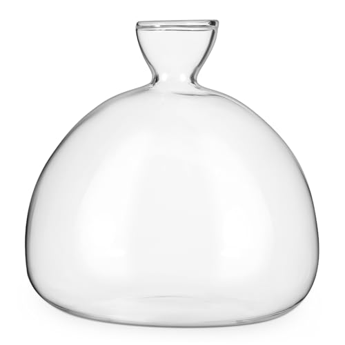 CIYODO Glasflasche Hydrokultur Boho Dekor Glühbirne Pflanzenvase Pilz Dekor Hydrokultur Töpfe Transparenter Halter Glastopf Arrangierbehälter von CIYODO