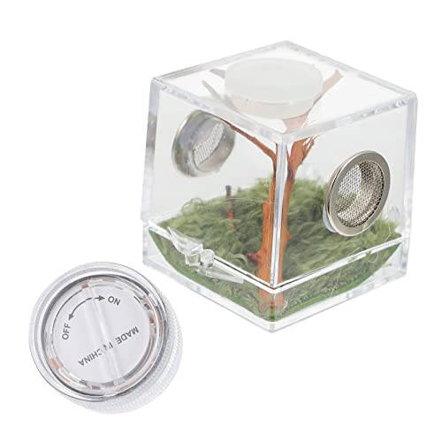 CIYODO Kasten Springspinnen-zuchtbox Haustiergehege Spinnengehege Kleines Terrarium Kleiner Durchsichtiger Behälter Haustier Laufstall Reptilienterrarium Spinnenfall Reptilienbecken Acryl von CIYODO