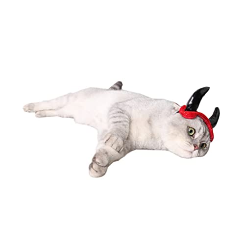 CIYODO Katzenhut Aquarium-Ornament- Hüte Für Haustierhunde Crested Gecko Futternapf Halloween-kostüme Für Haustiere Welpenhut Haustier-Cosplay-dekor Haustierhüte Zubehör Hündchen von CIYODO