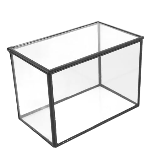 CIYODO Mikrolandschaftsgewächshaus Pflanzenterrarium Leeres Terrarium Mikro-landschafts-DIY-Halter Saftiges Terrarium Kleines Terrarium Pflanzenbehälter Selber Machen Transparent Glas von CIYODO