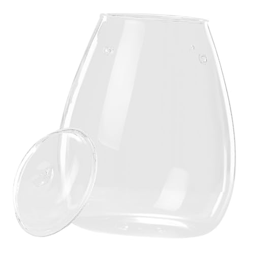 CIYODO Moos-öko-Flasche Pflanzenterrarium Landschaft Flasche Mikro-landschaftsflasche Mikro-landschaftsbau-Container Mikro-landschaftspflanzerflasche Transparente Flasche Glas von CIYODO