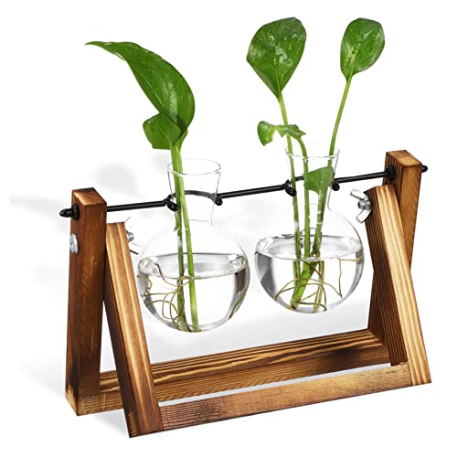 CIYODO Ornamente Glasvasen Schreibtisch Dekoration House Plants Vermehrung von hängenden Pflanzen Vase mit Ständer Blumenvase blumenbank hängende Vermehrungsstation Tischterrarium Holz von CIYODO