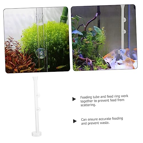 CIYODO Transparenter Fütterungsset für Aquarium Garnelen Futterrohr und Futterbecken Sinkendes Fisch und Garnelenfutter Futterzubehör für Aquarien mit Einfachem Futterablauf CIYODO Transparenter Fütterungsset für Aquarium Garnelen Futterrohr und Futterbecken Sinkendes Fisch und Garnelenfutter Futterzubehör für Aquarien mit Einfachem Futterablauf von CIYODO
