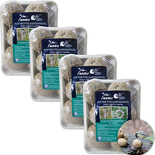 CJ Wildlife Premium Meisenknödel mit Insekten, Sparpack 24 Stück (4 x 6 Knödel) von CJ Wildlife