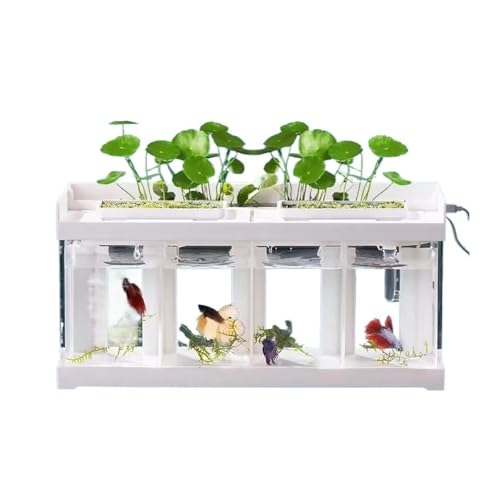 Terrarium Aquarium mit 4 Fächern, transparentes Acryl, for den Schreibtisch, Meeresfischzucht, Spezialtank, kreatives Kampffischaquarium mit weißer Abdeckung Insekten Schildkröten von CJHFR472SG