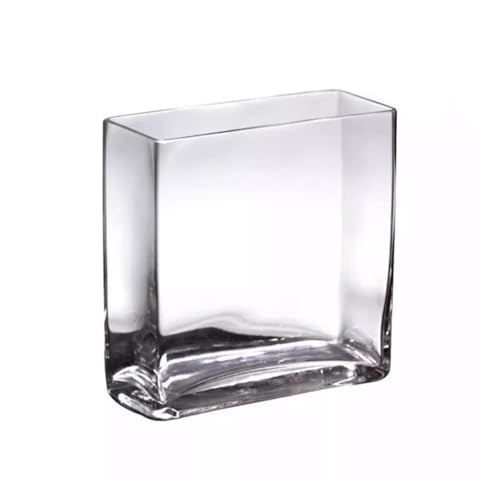 Terrarium Glass Fish Tank Rectangular Living Room Small Aquarium Fish Tank Transparent Desktop Glass Vase Insekten Schildkröten von CJHFR472SG