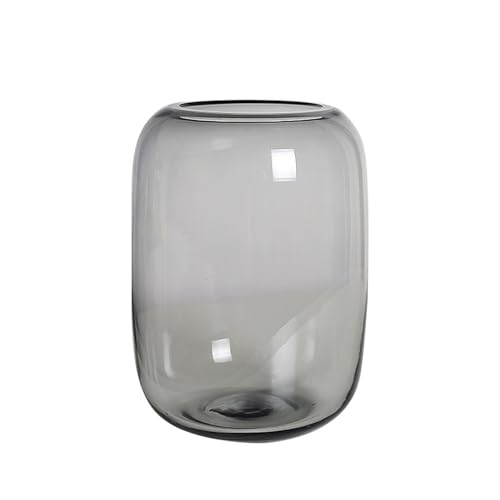 Terrarium Glass Fish Tank Transparent Gray Glass Desktop Small Fish Aquarium Living Room Glass Vase Bottle Insekten Schildkröten von CJHFR472SG