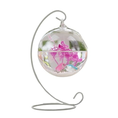 Terrarium Hängende transparente Kampffischaquarium Desktop kleines Aquarium kleines Goldfischaquariumglas Insekten Schildkröten(Weiß,Groß) von CJHFR472SG