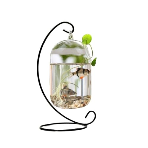 Terrarium Kleines Aquarium for Aufhängen, schönes Glas, kleines Aquarium, Metallrahmen, for Aufhängen, dekorative Fischtanks for den Schreibtisch Insekten Schildkröten(Schwarz,Groß) von CJHFR472SG