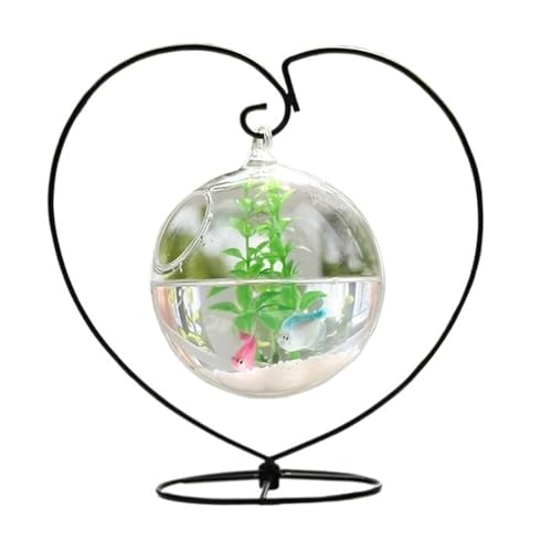 Terrarium Kleines hängendes Aquarium, einzigartiger Metallrahmen, herzförmiges Design, hängendes sphärisches Glas-Aquarium, Schreibtisch-Dekoration Insekten Schildkröten von CJHFR472SG