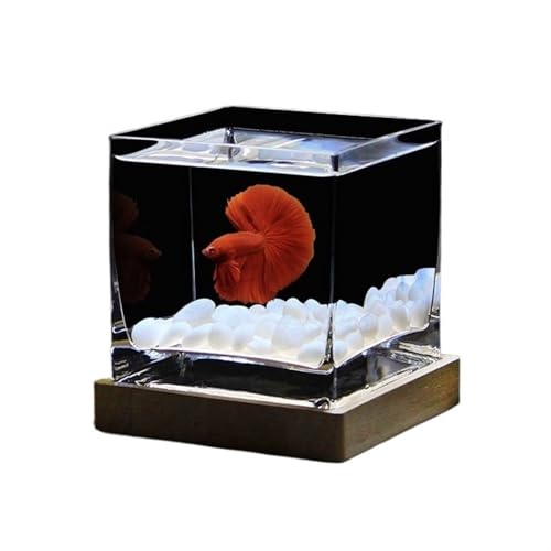 Terrarium Quadratisches, hochtransparentes Glasaquarium, spezielles Kampffischbecken mit Deckel, tropisches Fischbecken, Hydrokulturvase, Blumenvase, kleine Fischbecken for den Schreibtisch Insekten S von CJHFR472SG