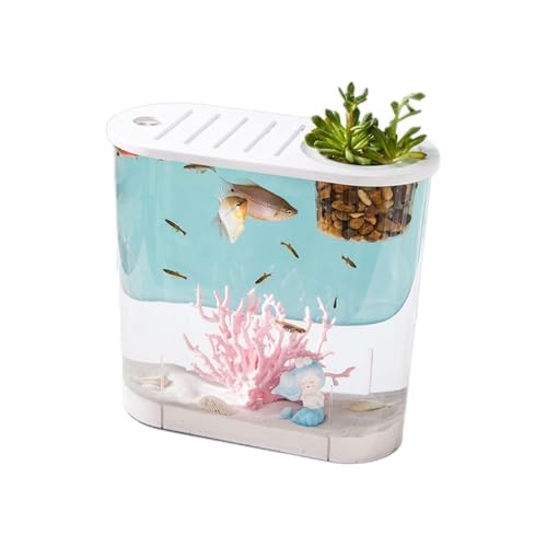 Terrarium Superklares Aquarium aus Acryl for den Schreibtisch mit atmungsaktivem Multifunktionsdeckel, transparentes Aquarium for die Zucht Kleiner Fische Insekten Schildkröten von CJHFR472SG