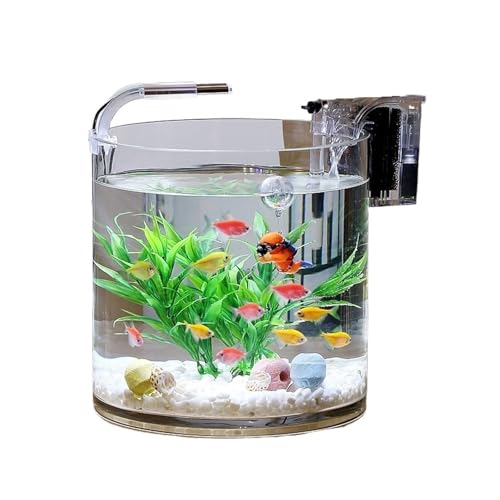 Terrarium Transparent Glass Fish Aquarium Living Room Office Desktop Cylindrical Fish Aquarium Glass Aquarium Insekten Schildkröten(20x20cm) von CJHFR472SG