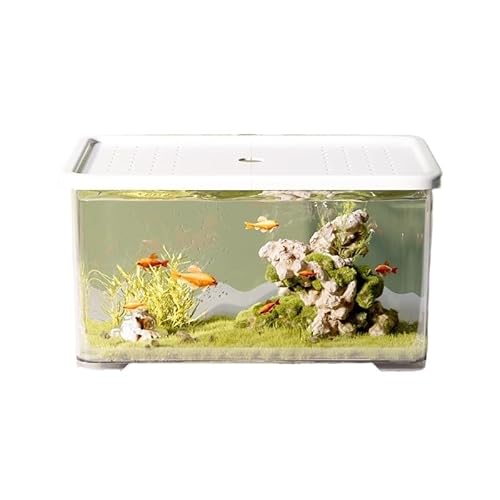 Terrarium Transparentes Acryl-Aquarium mit weißem Deckel, kleines Wohnzimmer-Desktop-Aquarium, Büro-Aquarium, kleines dekoratives Aquarium, Schildkrötenbecken Insekten Schildkröten von CJHFR472SG