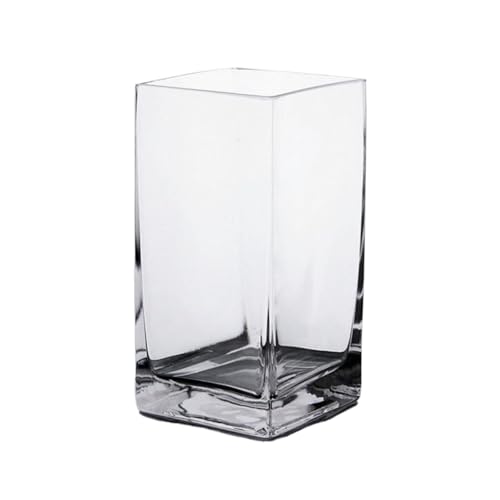 Terrarium Verdicktes Glas Aquarium Kleine Desktop Transparent Quadrat Aquarium Hause Dekorative Glas Vase Blumenvase Insekten Schildkröten von CJHFR472SG