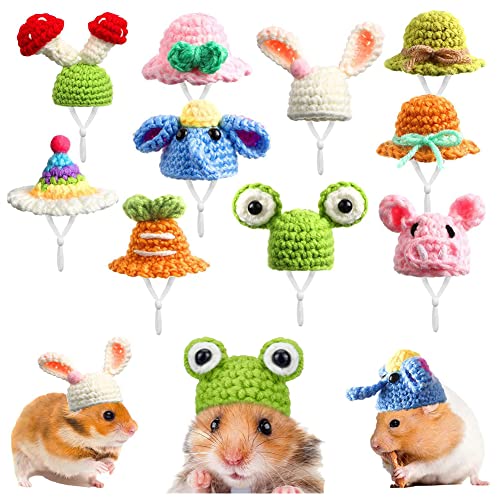 10-teiliges Hamsterhut-Set, niedlicher Hut für kleine Tiere, Kostüm, Hut, niedlicher kleiner Hut, kleine Tierhut für Drachen, Meerschweinchen, Hasen, Kostüm-Zubehör, Urlaubspartys von CJKDXDH