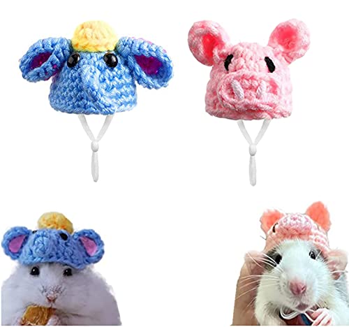 2 stücke Eidechsen Hamster Papagei Top Hat Mini Strickmütze für kleine Tiere Haustiere Lustige Kostüm Hut Kopf Abdeckung A von CJKDXDH