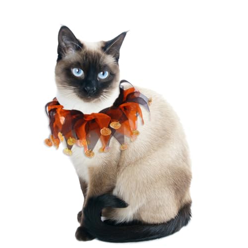 CJKDXDH Halsband mit Rüschen, für Hunde und Katzen, Halloween, Thanksgiving, Haustierzubehör, Urlaub, für Welpen, Kätzchen, Kaninchen von CJKDXDH