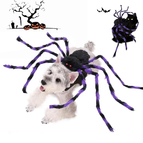 Halloween-Hundekostüme, Spinnenkostüme für Hund, Katze, Spinne, Dekoration, Halloween-Partyzubehör, Spinne, Cosplay-Kostüme mit verstellbarem Klettverschluss für Halloween, Haustierkostüm, von CJKDXDH