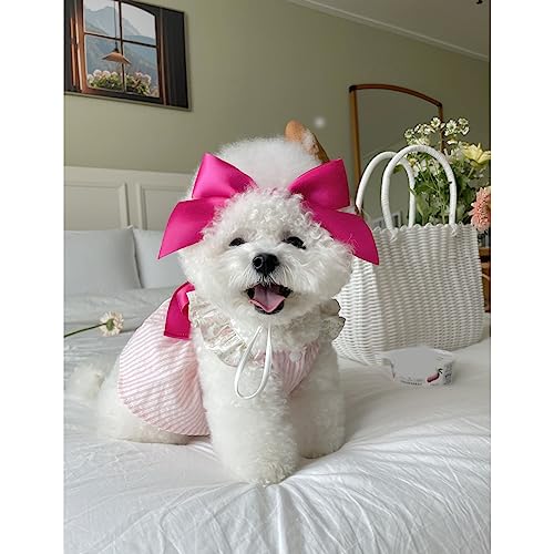 Haustier Kleid Süßer Welpe Hundekleid Gänseblümchen Schleife Set Hund Cosplay Kostüm Hund Haustier Sommerkleid Einzigartiges Hundekleid Baumwolle Welpenkleid Shirt Outfits für Große Hund Katzen von CJKDXDH