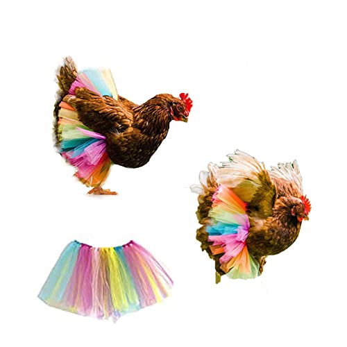 Lustiges Huhn Tutu Rock Prinzessin Kleid Henne Federschutz Rock Set Henne Dekor für Huhn Kleidung Regenbogen Kleid für Kleine Große Tier 3 Größen S von CJKDXDH