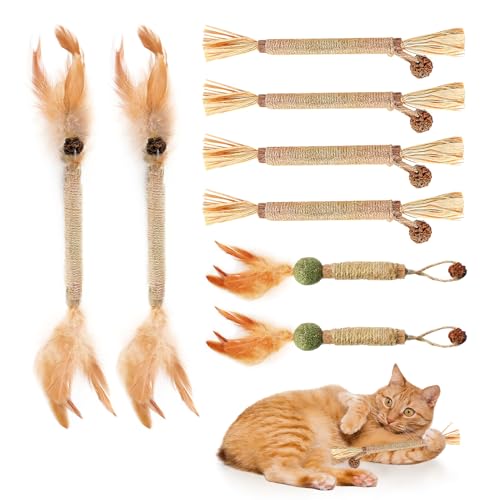 CJMUQHEHH 8 Stück Katzenminze Stick für Katzen, Katzenspielzeug Katzenminze Sticks, Katzen Kaustangen Sticks für Katzen Zahnpflege, Natürliches Kauspielzeug zur Zahnreinigung für Glückliche Katzen von CJMUQHEHH