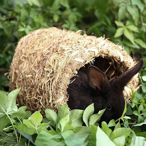 Gewebtes Gras-Tunnelhaus, gewebtes Grashütten-Bett, Versteckhütte, Spielzeug für Kaninchen, Hamster von CKPLAS