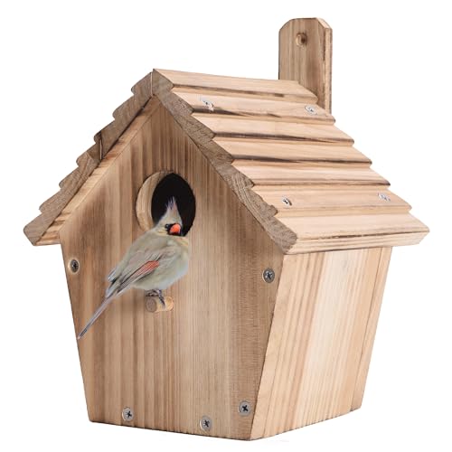 Vogelhaus aus Holz für draußen, hängende Vogelhäuser mit Stange, für den Außenbereich, für den Außenbereich, Finken, Kardinäle, Zaunkönig, Rotkehlchen, Nistkasten, Vogelhaus für den Außenbereich, von CLACKIBUKVYZ