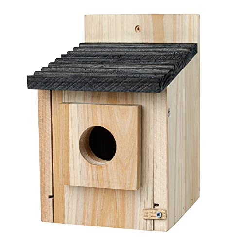 Vogelhaus für den Außenbereich aus Holz mit Raubtierschutz Vogelnest Box Wildvogelbeobachtung Finken Bluebird Cardinals Hängende Vogelhaus Ausstattung Garten Landhaus Landhaus von CLACKIBUKVYZ