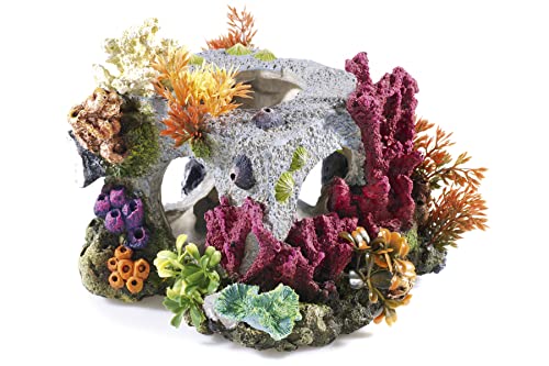 CLASSIC Großes kubisches Habitat Aquaurium Ornament von CLASSIC