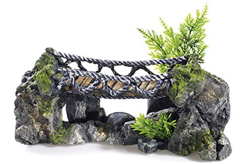 CLASSIC PETBLIS Rocky Rope Bridge 25,4 cm, 100 g von CLASSIC