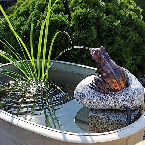 CLGarden Set Frosch Wasserspeier NSP10 Teichfigur Solarbrunnen mit Solar Pumpe für Teich Gartenteich von CLGarden