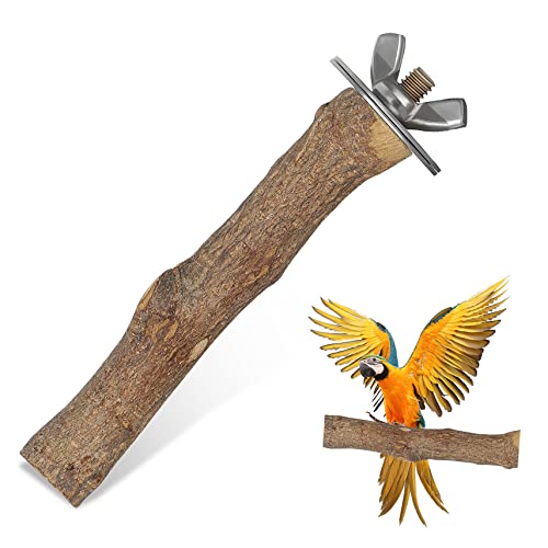 CLISPEED Holz Vogel Sitzstange für Kleine Vögel Lange Kletterplattform aus Natürlichem Holz und für Wellensittiche Nymphensittiche und Andere Haustiere CLISPEED Holz Vogel Sitzstange für Kleine Vögel Lange Kletterplattform aus Natürlichem Holz und für Wellensittiche Nymphensittiche und Andere Haustiere von CLISPEED
