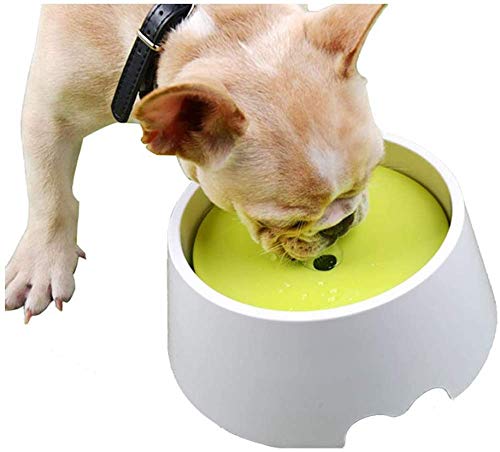 CLQ 2 In 1 Pet Water No Spill Bowl Futter Slow Feeder 1000 Ml (34 Unzen) Anti-Spill Anti-Dust Anti-Overflow Dripless Bowl Für Hunde Und Katzen von CLQ